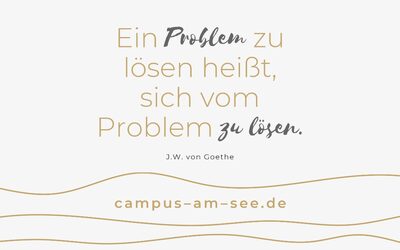Sind Probleme problematisch?
