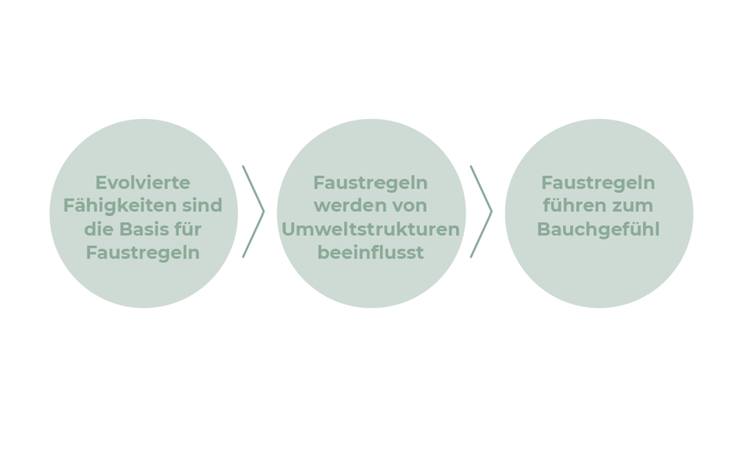 Intuition im Coaching: Bauchgefühl oder Bias?