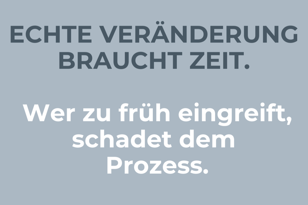 P3 Trust the Process Change Management Ausbildung